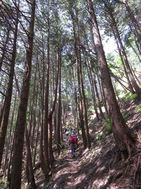 不老山登山