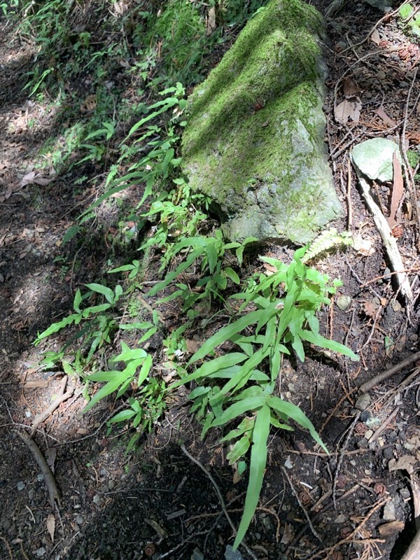 不老山登山