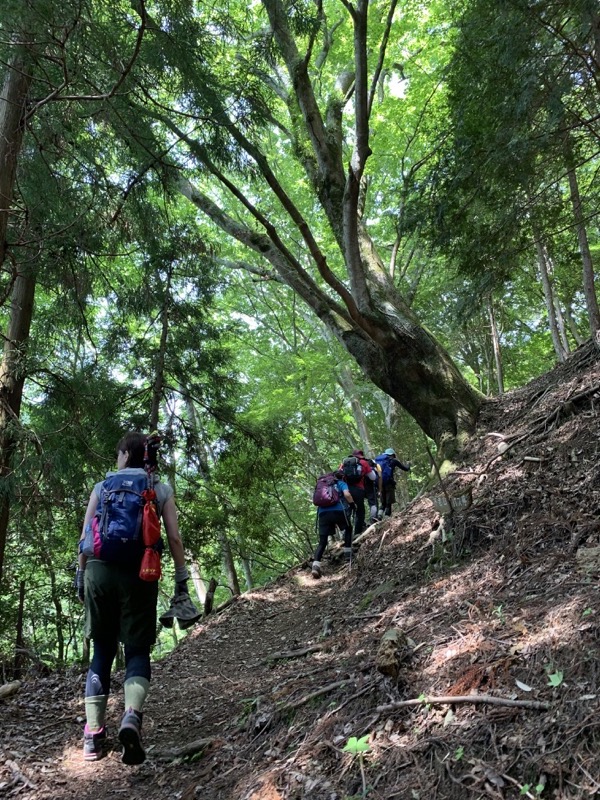 不老山登山