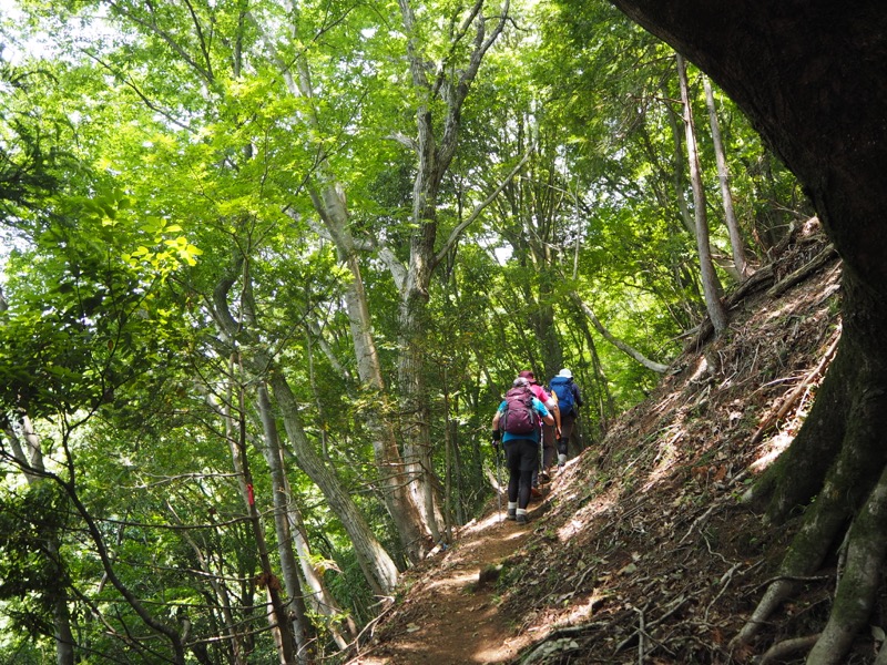 不老山