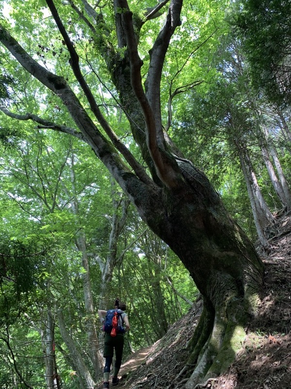 不老山登山