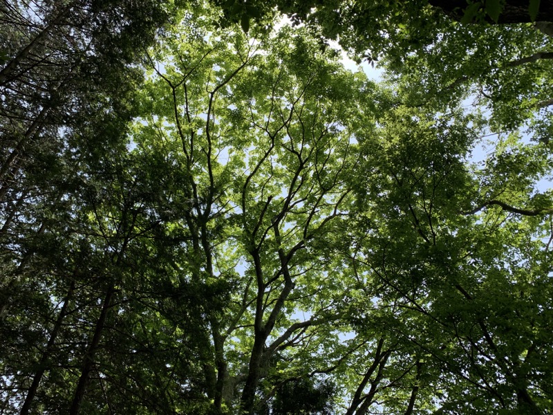 不老山登山