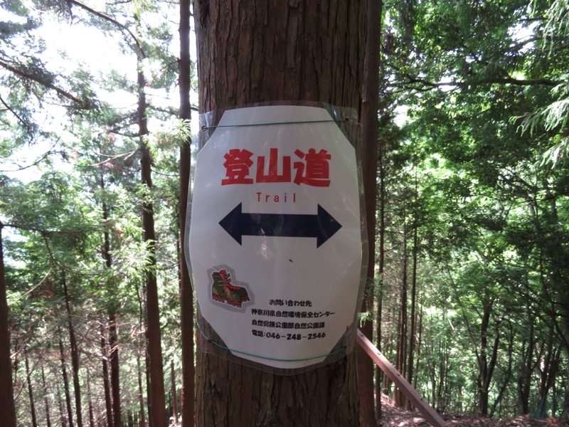 不老山登山