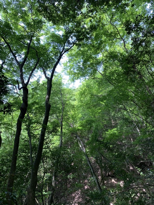 不老山登山