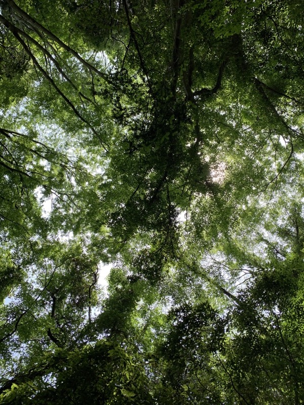 不老山登山
