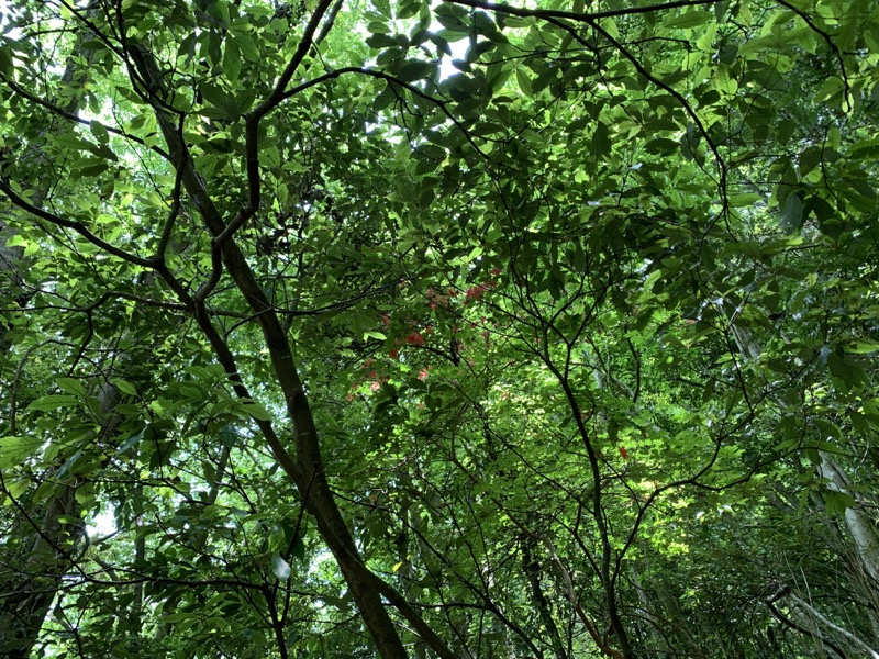 不老山登山