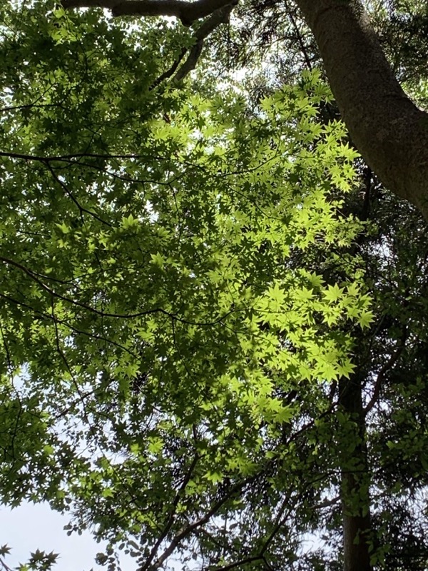 不老山登山