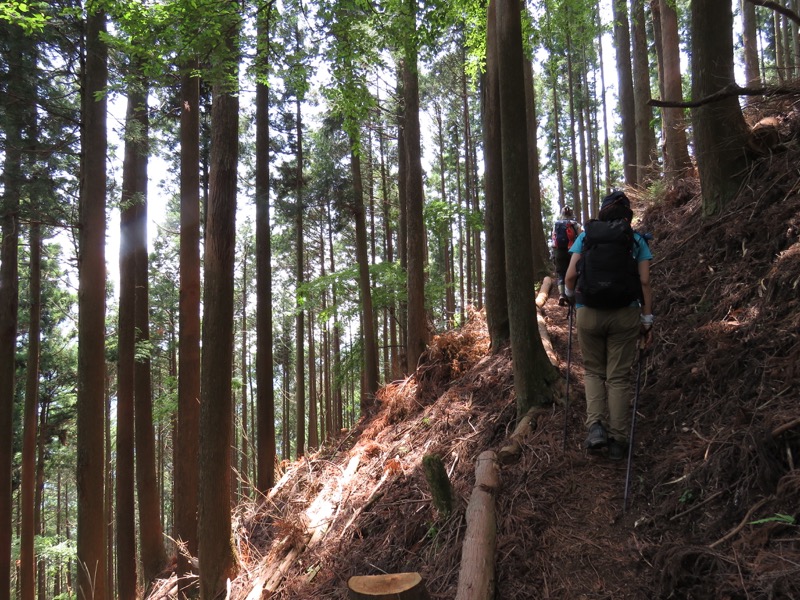 不老山登山