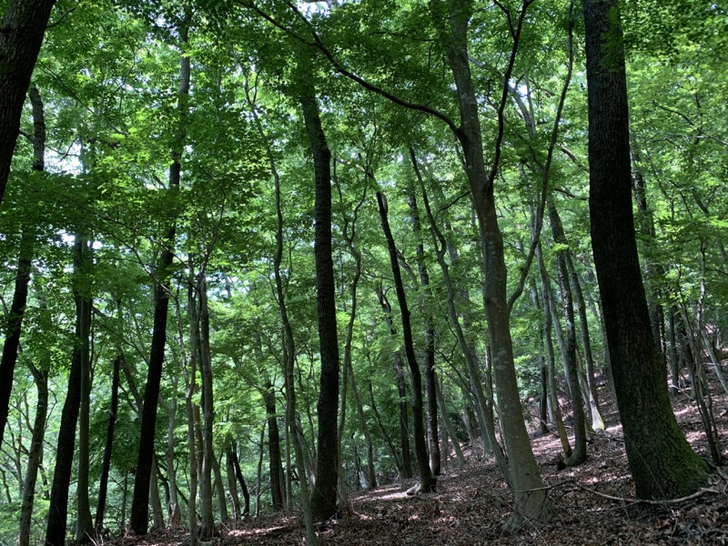 不老山登山