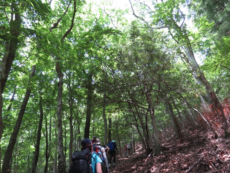 不老山登山