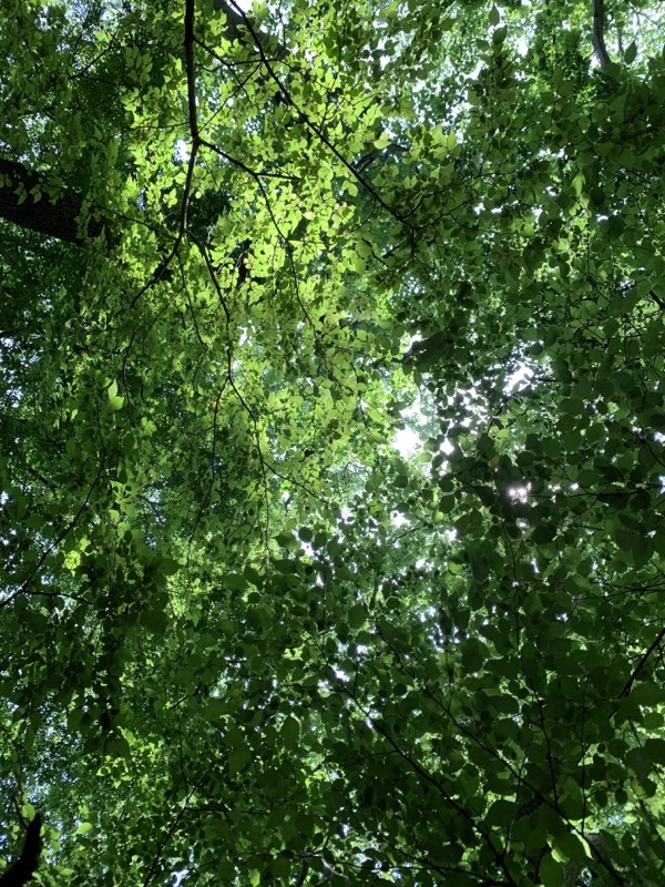 不老山登山
