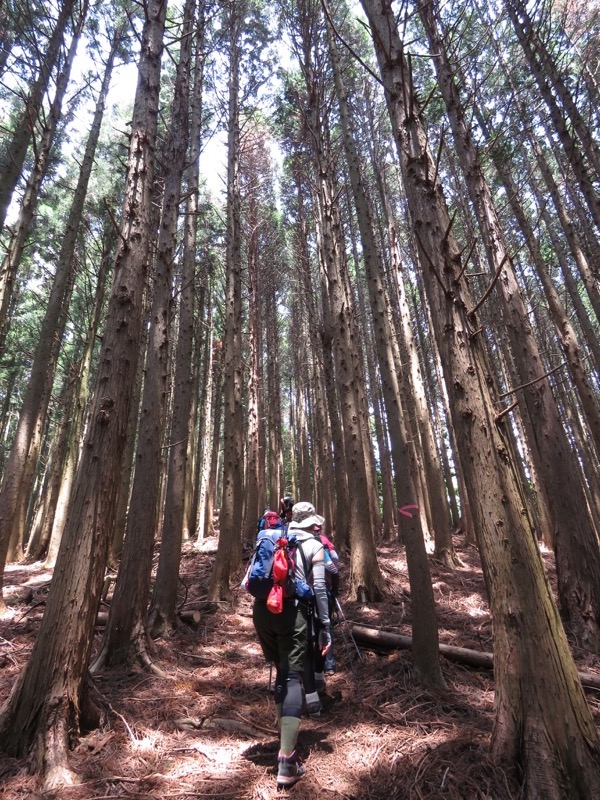 不老山登山