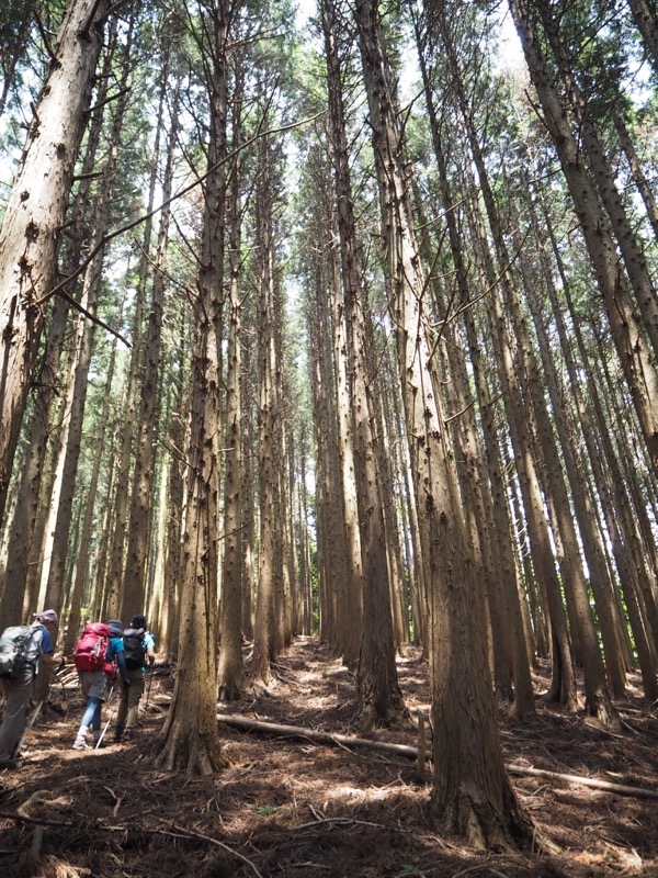 不老山