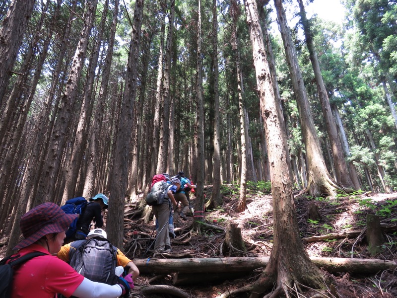 不老山登山