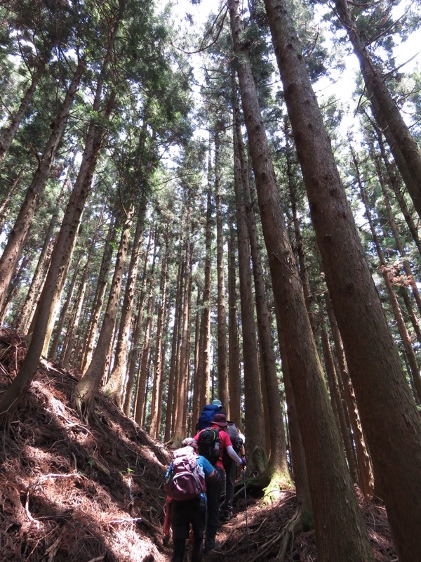 不老山登山