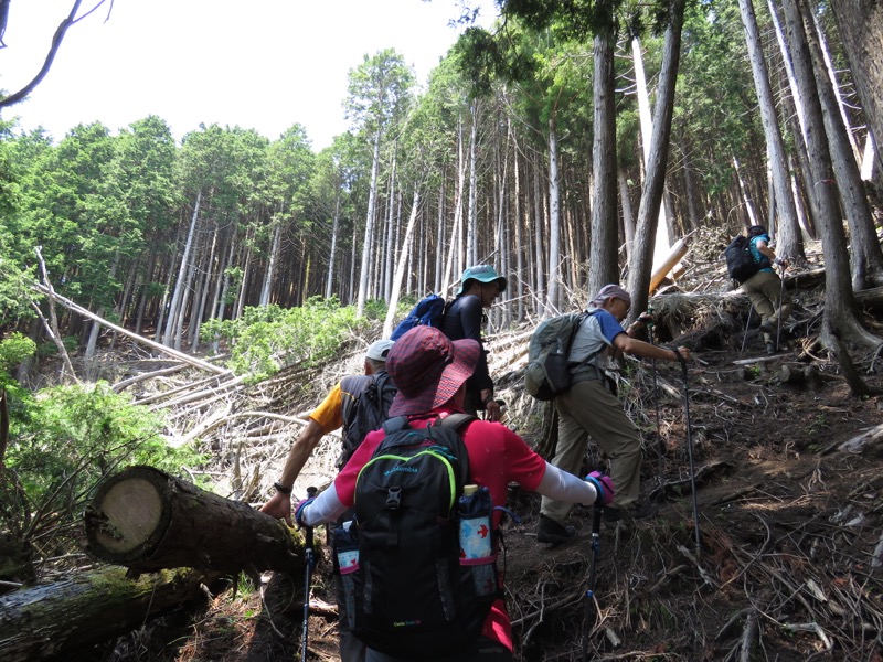 不老山登山