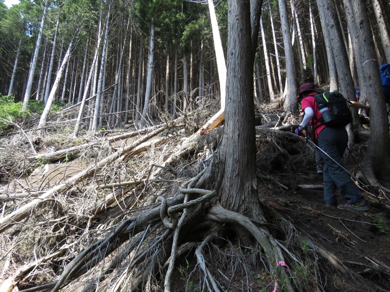 不老山登山