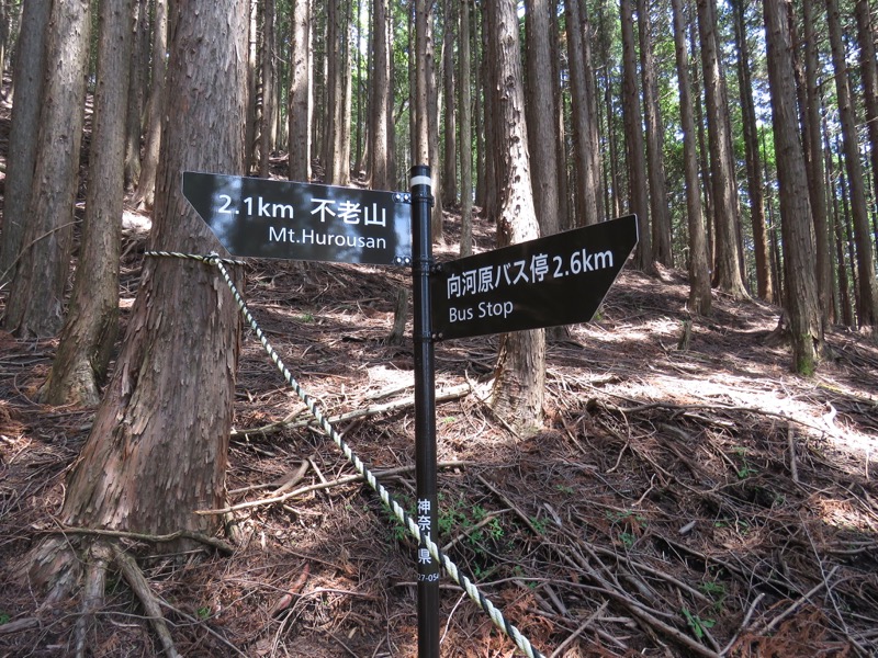 不老山登山