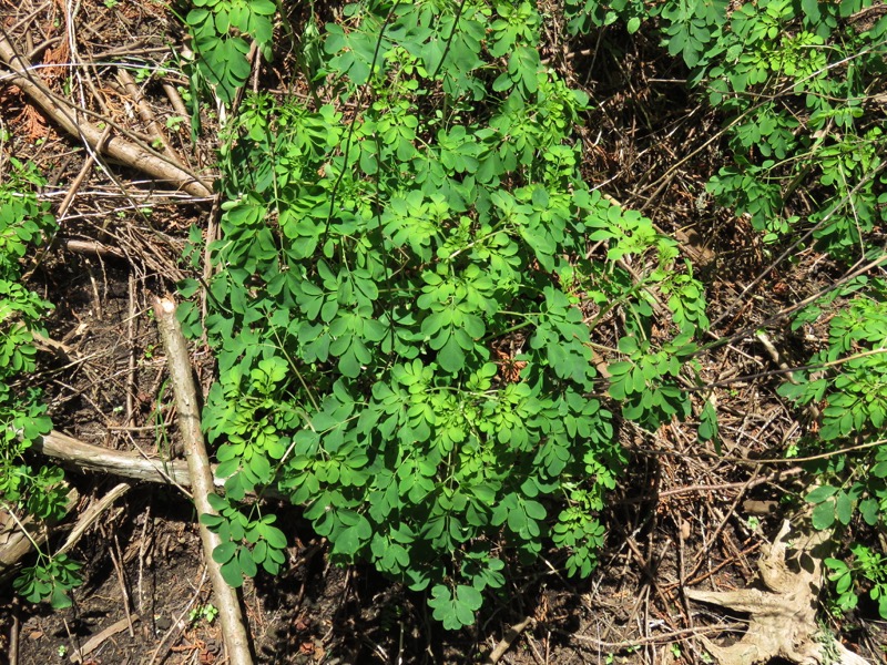 不老山登山