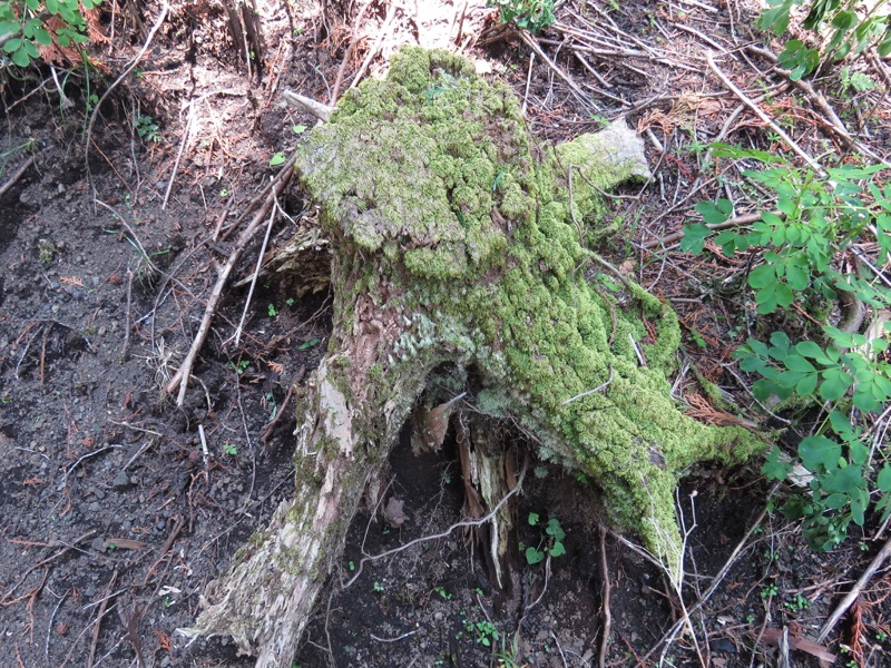 不老山登山