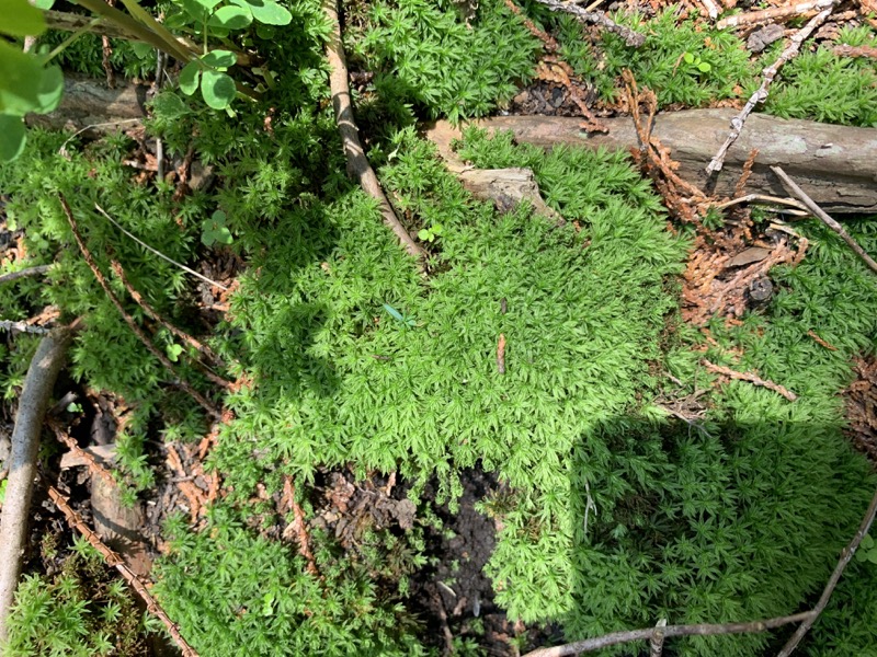 不老山登山