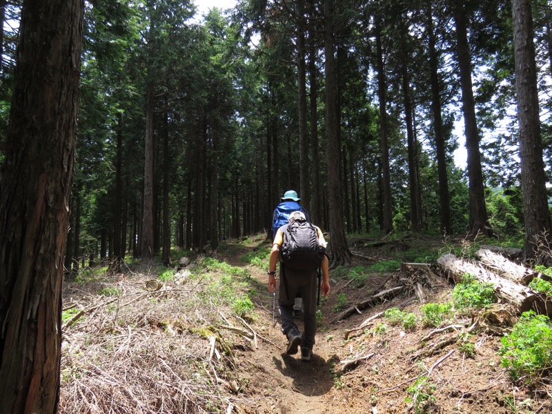 不老山登山