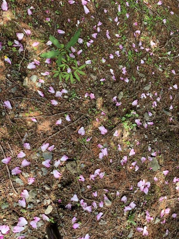 不老山登山
