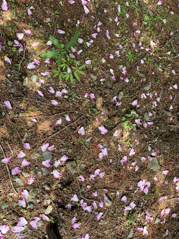 不老山登山