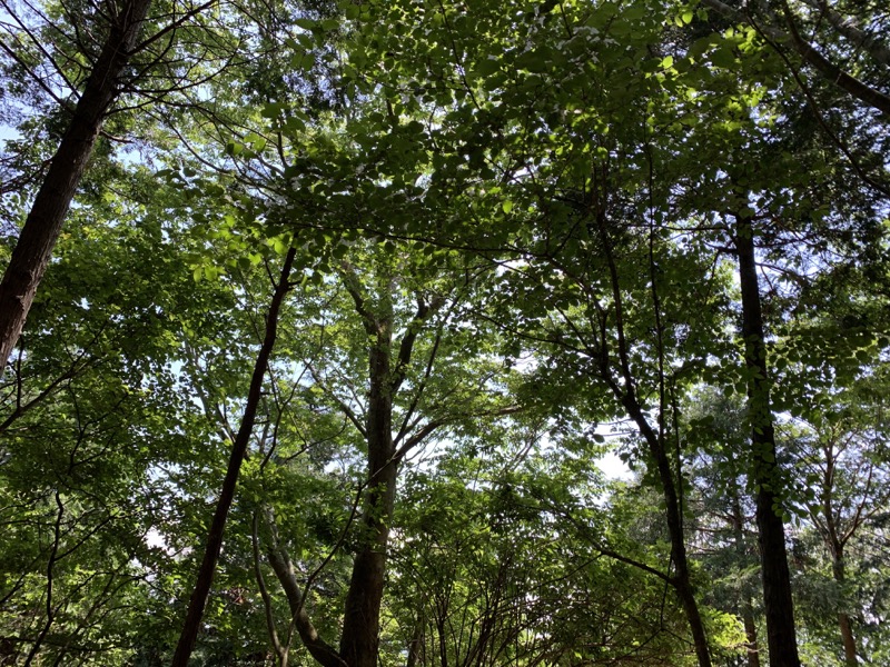 不老山登山