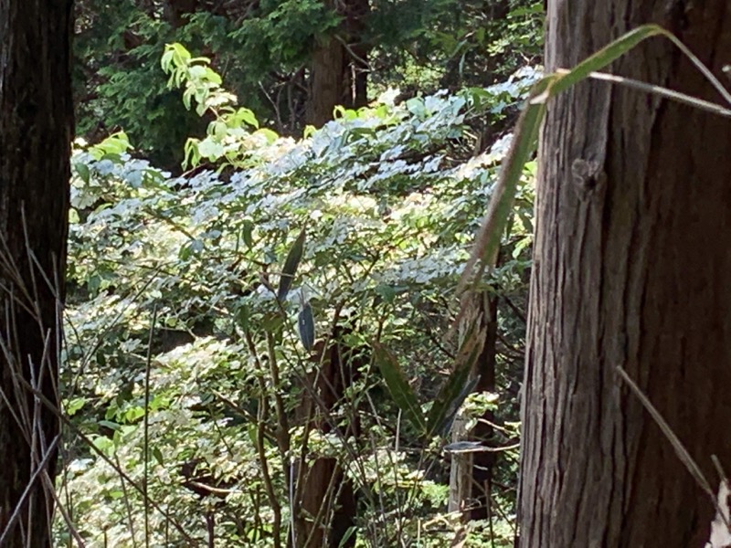 不老山登山