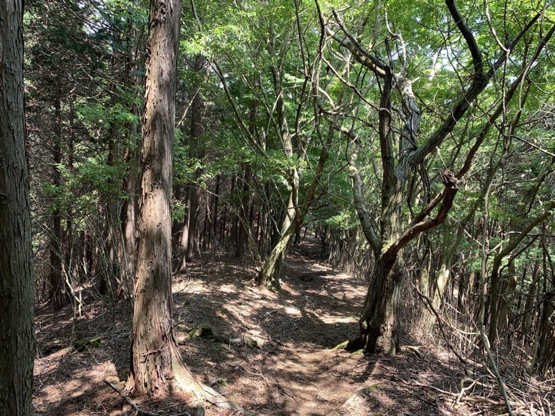 不老山登山