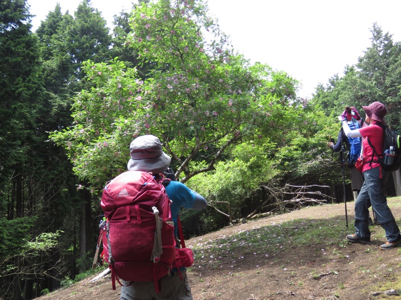 不老山登山