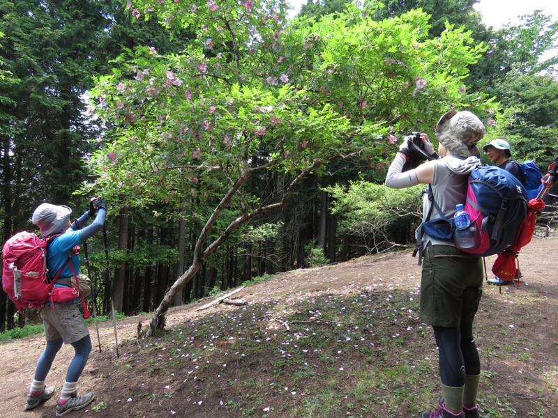 不老山登山