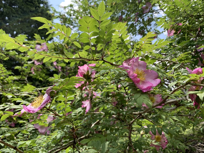 不老山登山