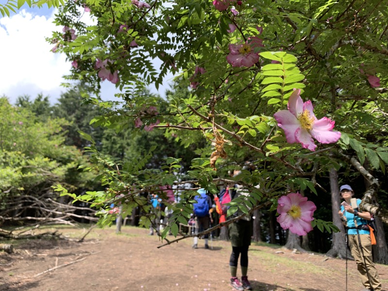 不老山登山