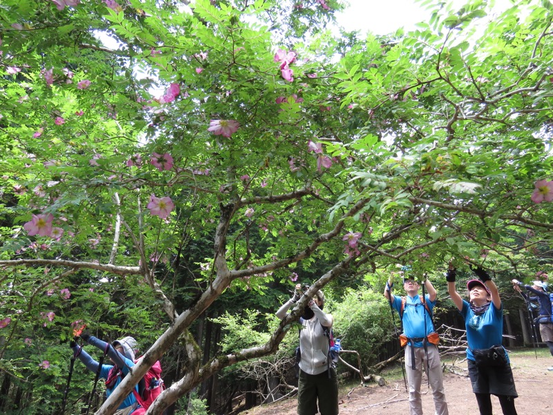 不老山登山