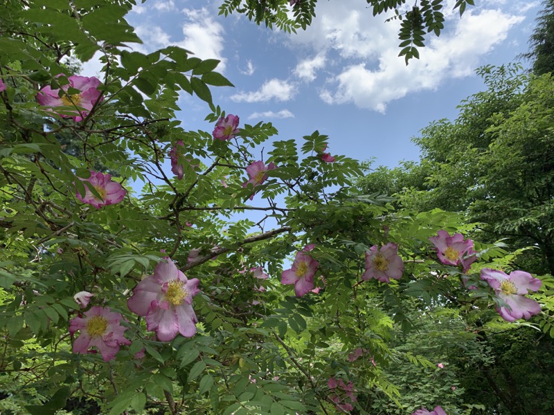 不老山登山