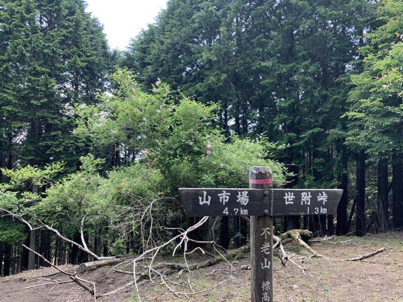 不老山登山