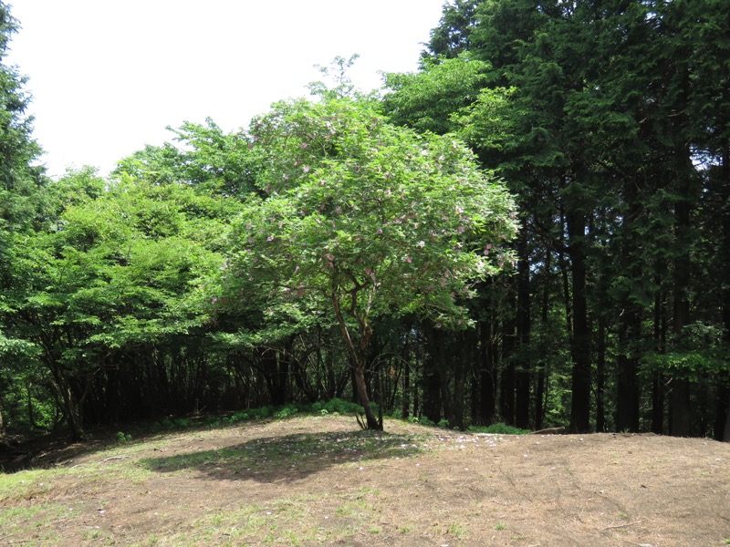 不老山登山