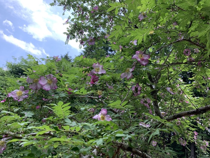 不老山登山