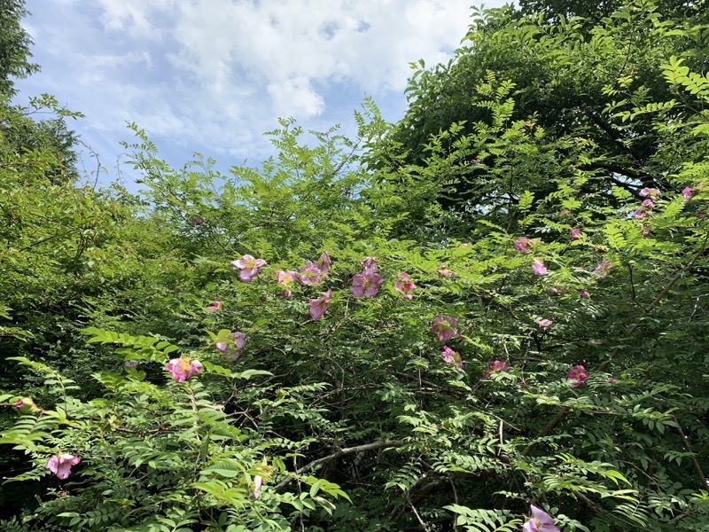 不老山登山