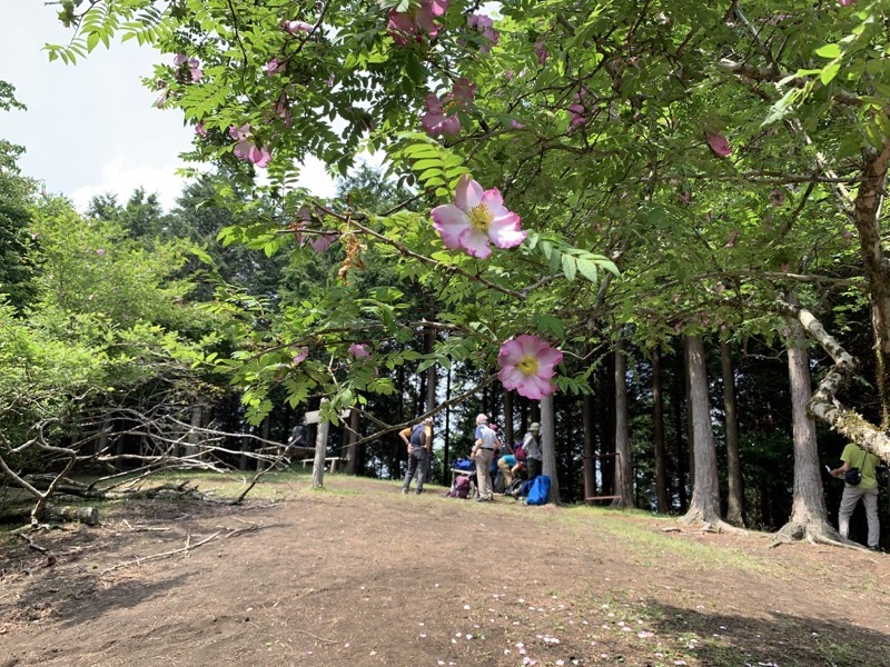 不老山登山