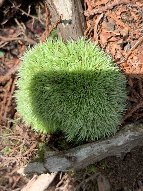 不老山登山