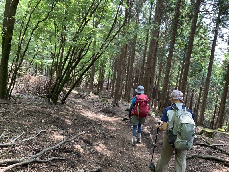 不老山登山