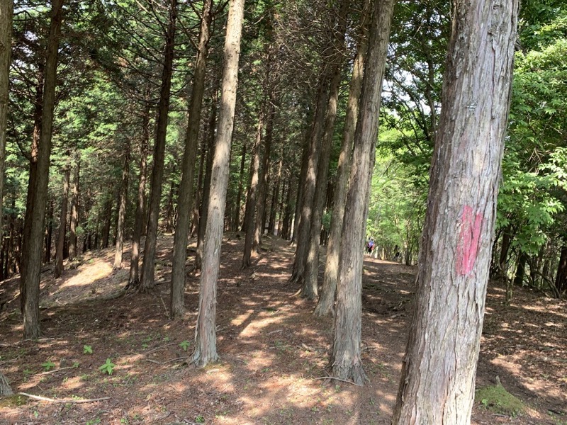 不老山登山