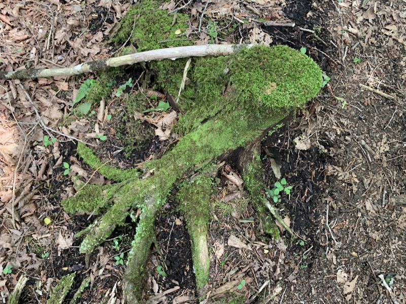 不老山登山