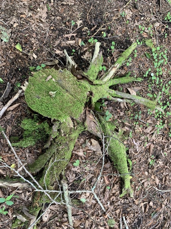 不老山登山