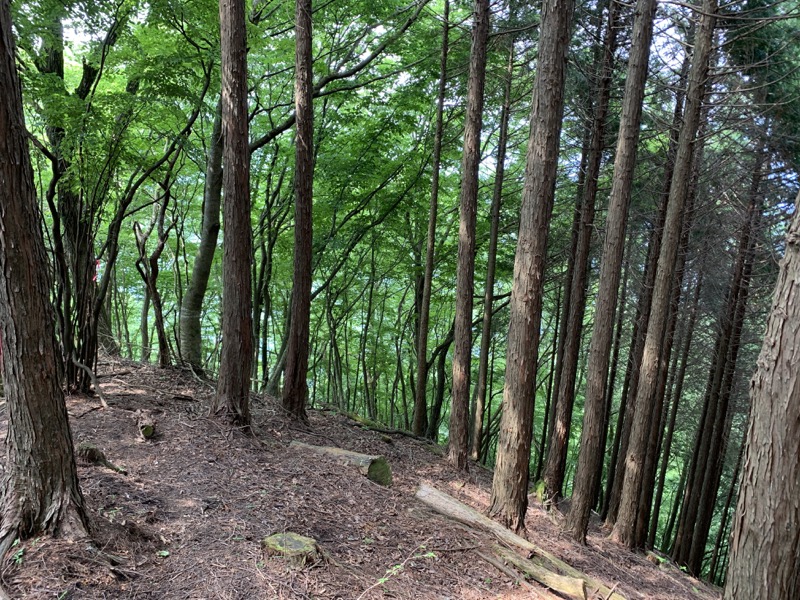 不老山登山