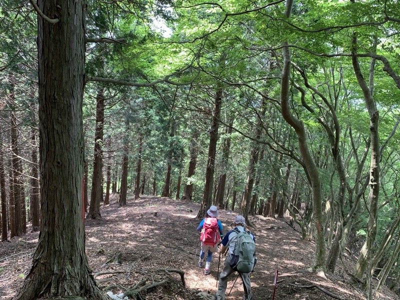 不老山登山