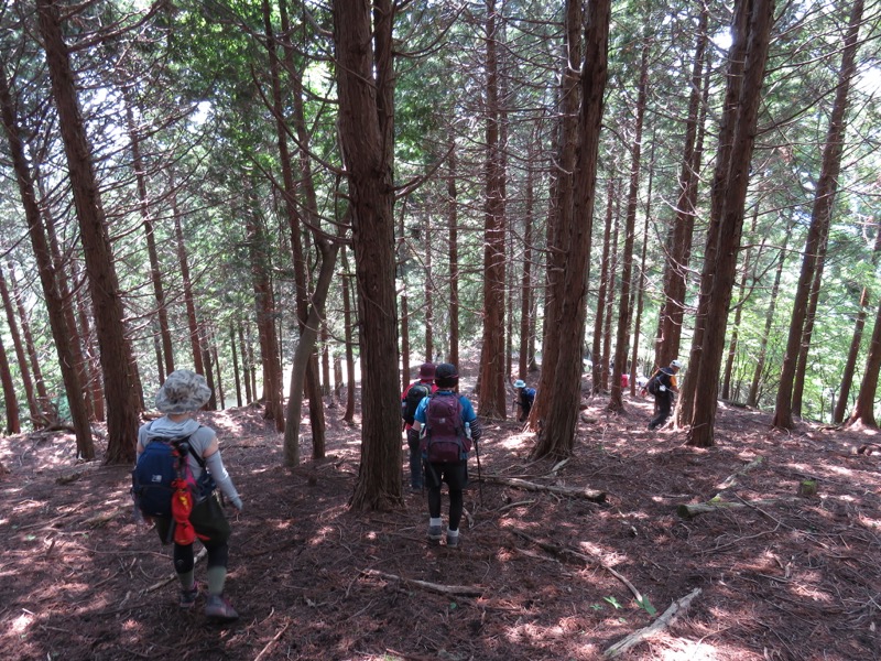 不老山登山